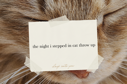 the night i stepped in cat throw up